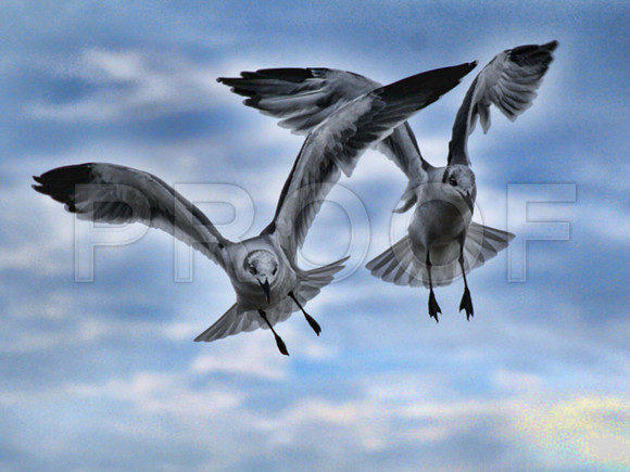 30X40-CANVAS (15)