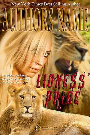 E-Book-LP