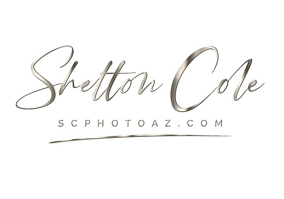 Shelton Cole STAINLESS FILE