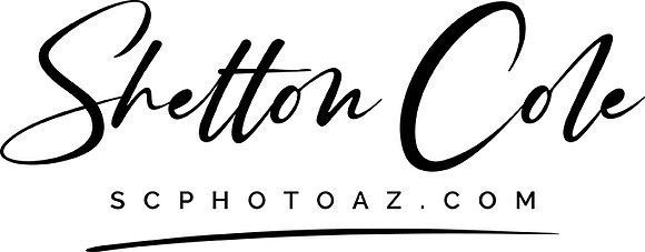 Shelton Cole LR BLACK