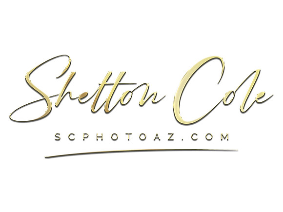 Shelton Cole HR LIGHT GOLD