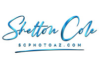 Shelton Cole HR COBALT BLUE