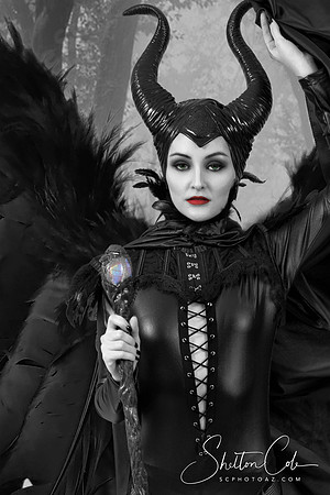 4M2B0038-CROPPED-BW-SPLASH