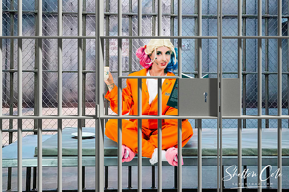 4M2B0076-CROPPED-BARS