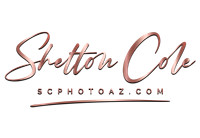Shelton Cole HR ROSE GOLD